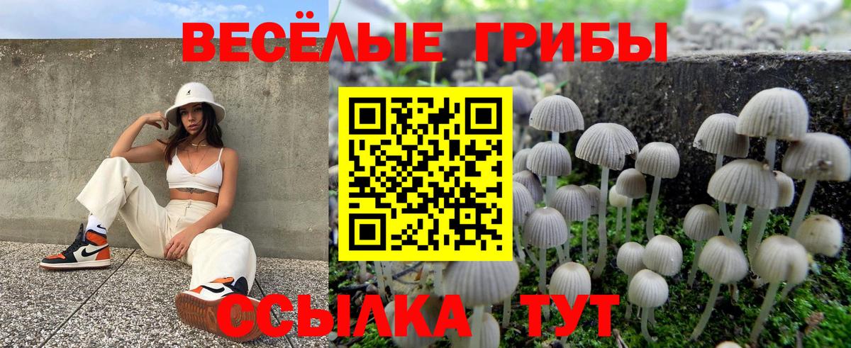 Галлюциногенные грибы мицелий Бийск