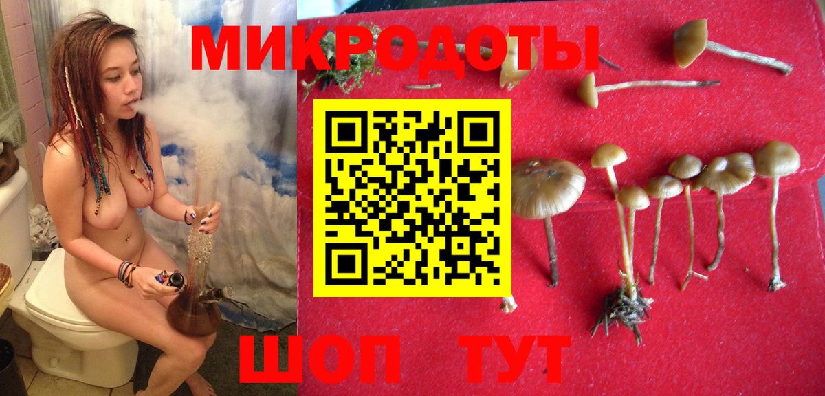Галлюциногенные грибы Psilocybine cubensis  Вход с VPN  Бийск  Галлюциногенные грибы Cubensis 